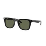Ray-Ban RB4220 601/9A 65 Unisex Güneş Gözlüğü